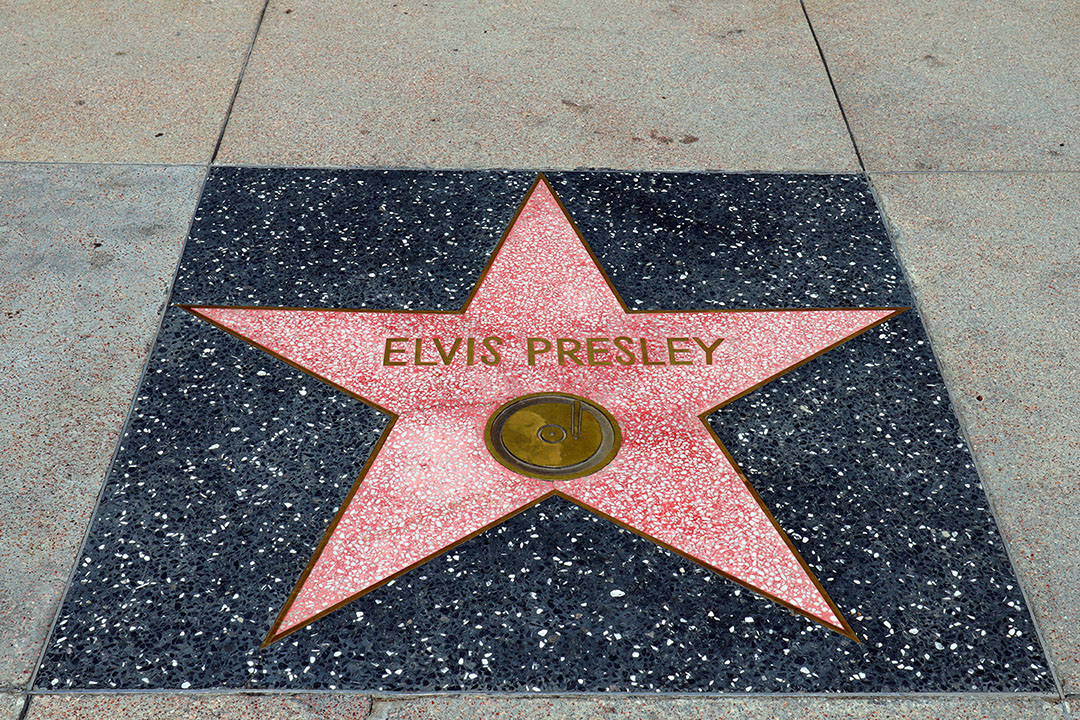Star of Elvis in Hollywood